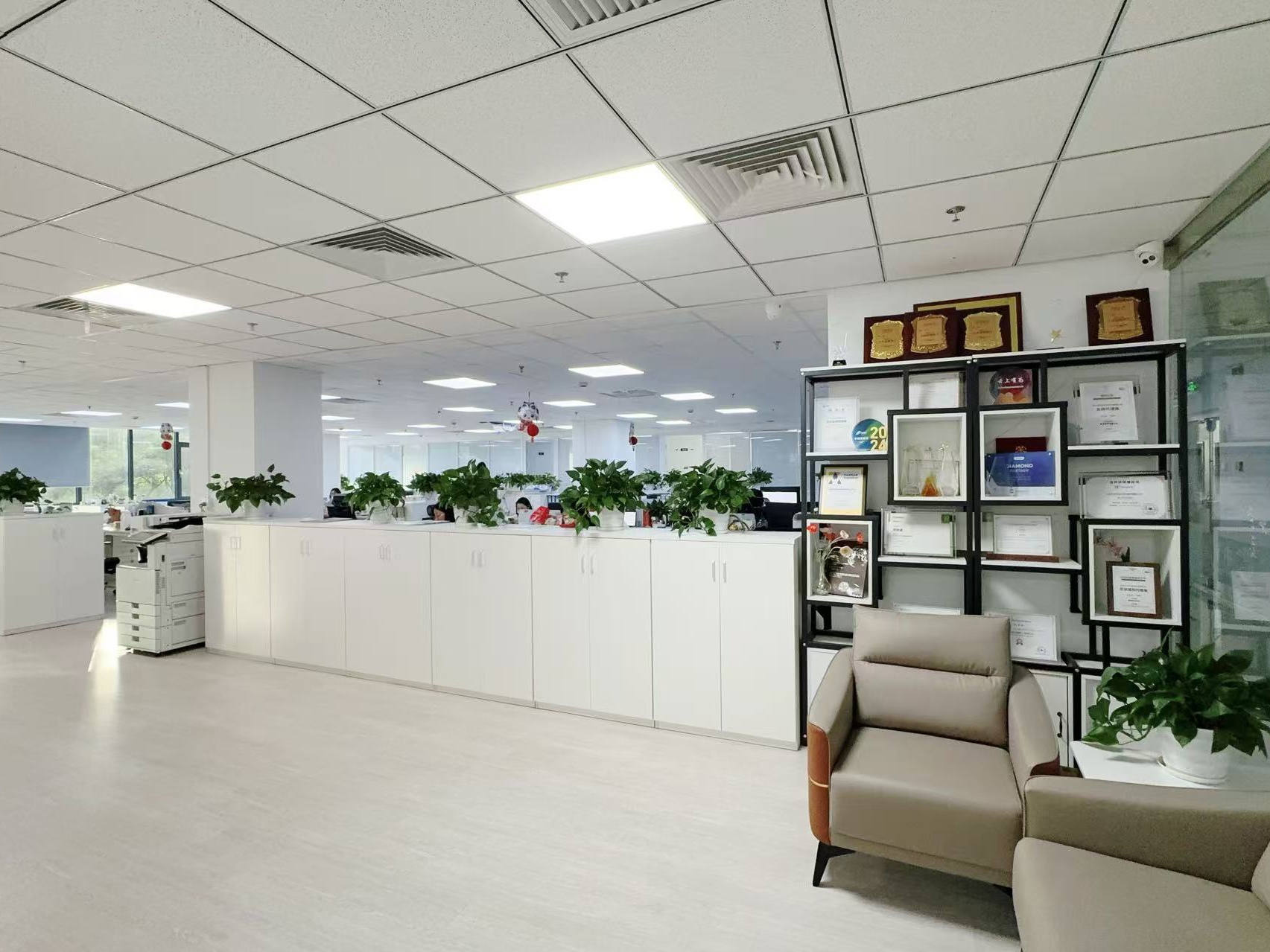 Chiny Hong Kong Starsurge Group Co., Limited profil firmy