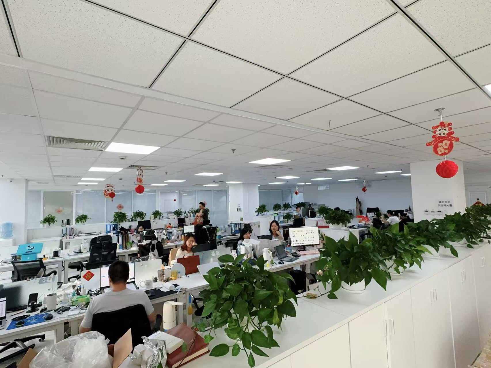 Chiny Hong Kong Starsurge Group Co., Limited profil firmy