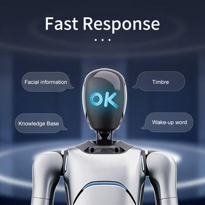 AgiBot G2 Robot Interaktywny Operujący Wcielony